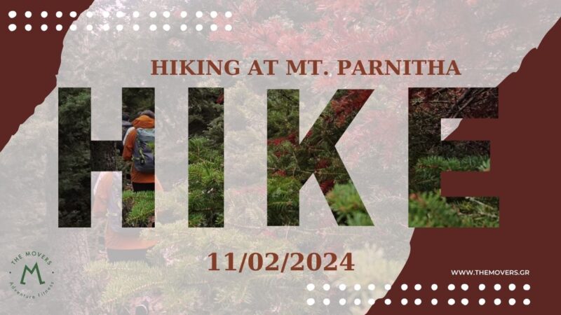 Hike in the Parnitha National Park 11/02/2024